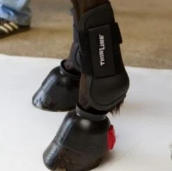 ThinLine Open Front Tendon Schooling Horse Boot -Weatherbeeta Shop TL 4015 W SchoolingBoot Front blk 3