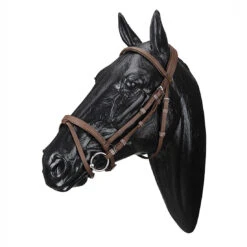 Wintec English Bridle With Flash Noseband -Weatherbeeta Shop WABRICBRN