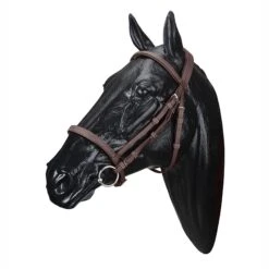 Wintec English Bridle -Weatherbeeta Shop WABRIDCBRN