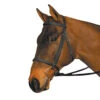 Wintec English Bridle 2 Wintec English Bridle -Weatherbeeta Shop Wintec Bridle Blk