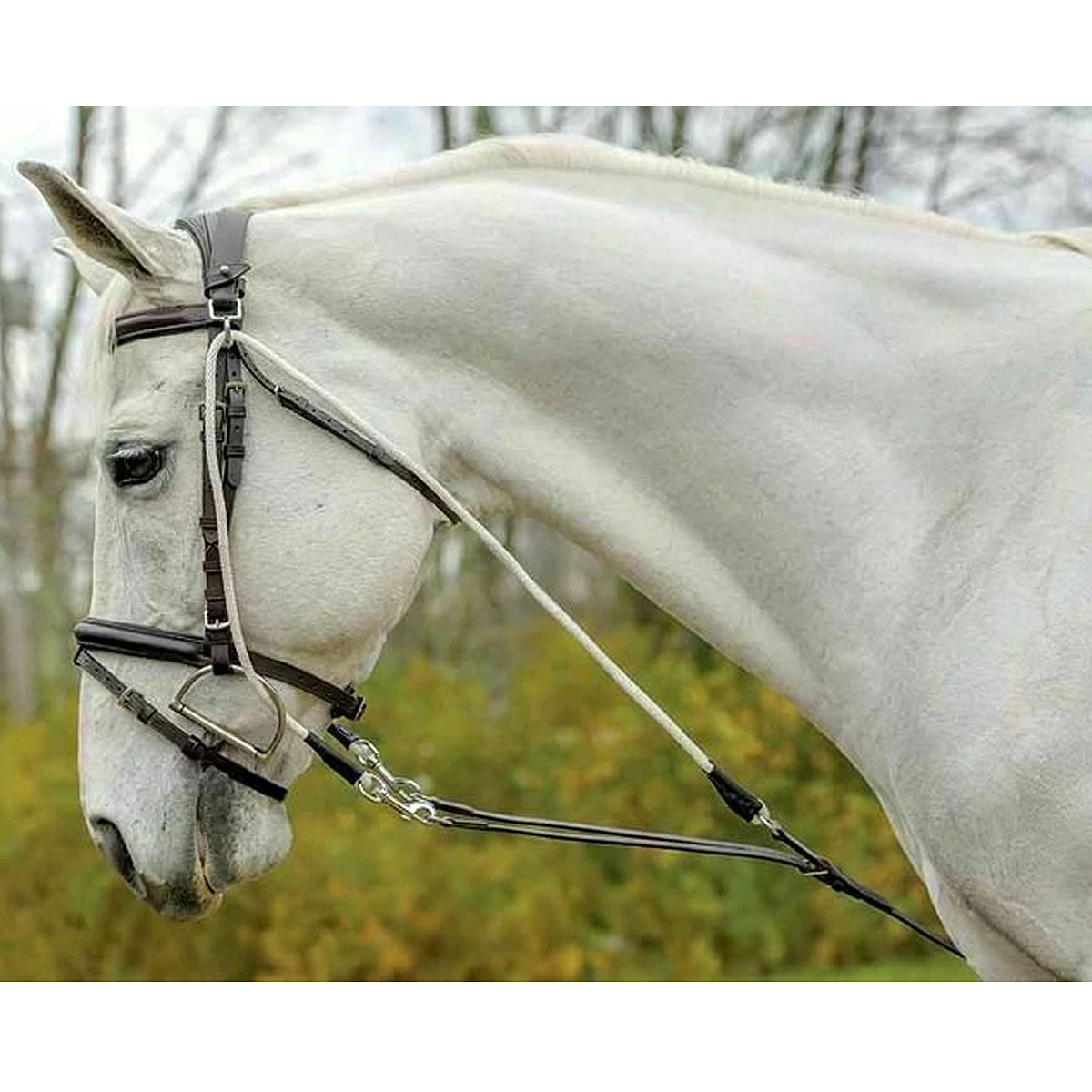 Avignon De Gogue Training Aid 3 Avignon De Gogue Training Aid