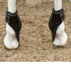 Equifit ImpacTeq Liners For Extended Hind Boot 7 Equifit ImpacTeq Liners For Extended Hind Boot -Weatherbeeta Shop black2 05059.1590073273.1280.1280