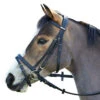 Wintec English Bridle With Flash Noseband -Weatherbeeta Shop black3 94565.1586445749.1280.1280