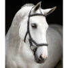 Rambo Micklem Deluxe Competition Bridle -Weatherbeeta Shop black4 05355.1590614970.1280.1280