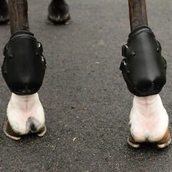 EquiFit AmpTeq Hind Boot 22 EquiFit AmpTeq Hind Boot -Weatherbeeta Shop black trim4 01302.1590074384.1280.1280