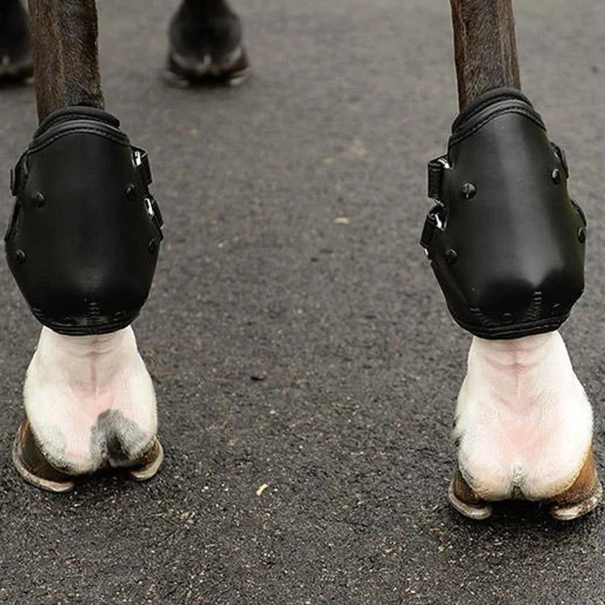 EquiFit AmpTeq Hind Boot 12 EquiFit AmpTeq Hind Boot - Image 10