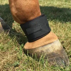 Equifit Neoprene Pastern Band Velcro Closure -Weatherbeeta Shop boot2 35441.1589905996.1280.1280