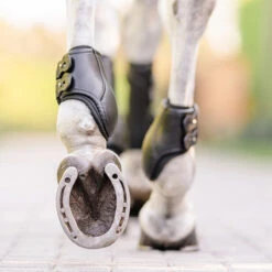 EquiFit Eq-Teq Hind Boot 15 EquiFit Eq-Teq Hind Boot -Weatherbeeta Shop boots2 27406adf dcf7 4644 b134 b0e8f1c65bf4