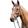 Prestige 3E080 Leather Bridle With Figure 8 Noseband 1 Prestige 3E080 Leather Bridle With Figure 8 Noseband -Weatherbeeta Shop bridle