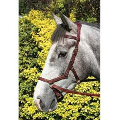 Horseware Rambo Micklem Multibridle -Weatherbeeta Shop bridle10 cf44038a 6c56 4d81 9380 7b1cf4d1ed34