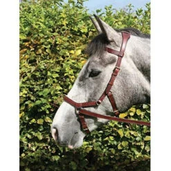 Horseware Rambo Micklem Multibridle -Weatherbeeta Shop bridle11
