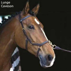 Horseware Rambo Micklem Multibridle -Weatherbeeta Shop bridle16