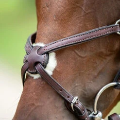 Nunn Finer Figure Eight Bridle 10 Nunn Finer Figure Eight Bridle -Weatherbeeta Shop bridle3 46165870 fad2 409e ae3d ca7da5e4cdc6