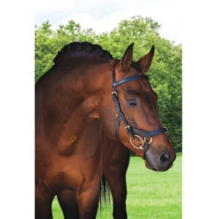 Horseware Rambo Micklem Multibridle -Weatherbeeta Shop bridle4 b0e395ec 9a74 445f be98 f048ad5a2cb8