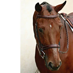 Nunn Finer Caterina Hunter Bridle 11 Nunn Finer Caterina Hunter Bridle -Weatherbeeta Shop bridle5 897aa7a3 ce3b 4720 b97d 9e9ac9222f48