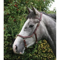 Horseware Rambo Micklem Multibridle -Weatherbeeta Shop bridle6 176ffa29 d9a4 474f 9cc0 dc82ba1c9ad6