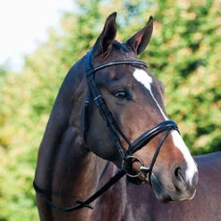 Passier Fortuna Snaffle Bridle 17 Passier Fortuna Snaffle Bridle -Weatherbeeta Shop bridle7 92799.1589504218.1280.1280