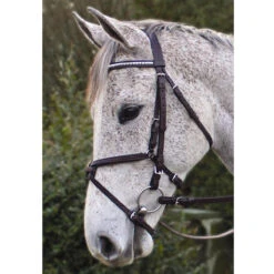 Nunn Finer Padded Figure 8 Noseband With Interchangeable Button Pieces 11 Nunn Finer Padded Figure 8 Noseband With Interchangeable Button Pieces -Weatherbeeta Shop bridle7 93402.1588702952.1280.1280