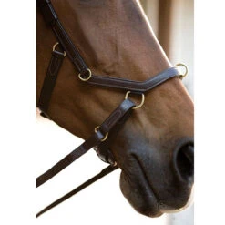 Horseware Rambo Micklem Multibridle -Weatherbeeta Shop bridle7 dbdae65c 834f 4c38 82af 05b9ee064b97