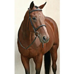 Nunn Finer Elena Hunter Bridle -Weatherbeeta Shop bridle7 df3ecb4e b033 46d4 bb3c 3bfe7a5c5abb