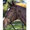 Passier Fortuna Snaffle Bridle 1 Passier Fortuna Snaffle Bridle -Weatherbeeta Shop bridle8 40386.1589504217.1280.1280