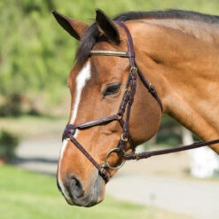 Nunn Finer Padded Figure 8 Noseband With Interchangeable Button Pieces 13 Nunn Finer Padded Figure 8 Noseband With Interchangeable Button Pieces -Weatherbeeta Shop bridle8 91054.1588702953.1280.1280
