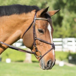 Nunn Finer Padded Figure 8 Noseband With Interchangeable Button Pieces 12 Nunn Finer Padded Figure 8 Noseband With Interchangeable Button Pieces -Weatherbeeta Shop bridle9 40869.1588702952.1280.1280
