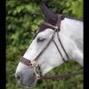 Dyon Hackamore Bridle 1 Dyon Hackamore Bridle -Weatherbeeta Shop bridle 0f6fd6db 7a4e 4f09 a701 04281ee797bf