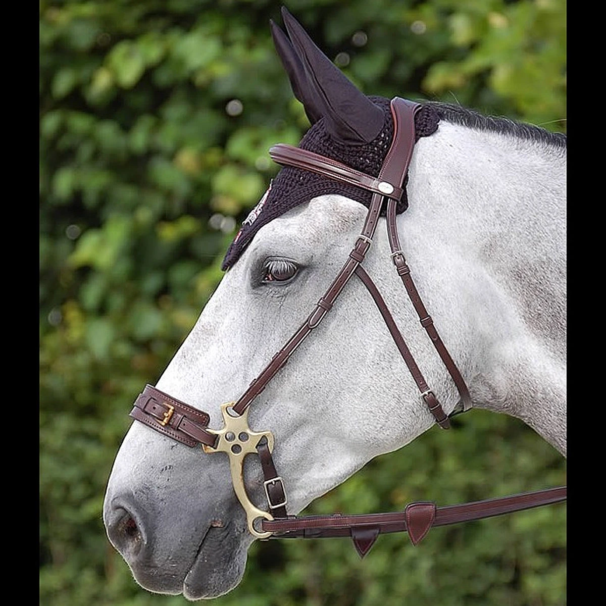 Dyon Hackamore Bridle 3 Dyon Hackamore Bridle