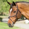 Nunn Finer Figure Eight Bridle -Weatherbeeta Shop bridle 83a8692f e0bc 4982 84e9 62202da61996
