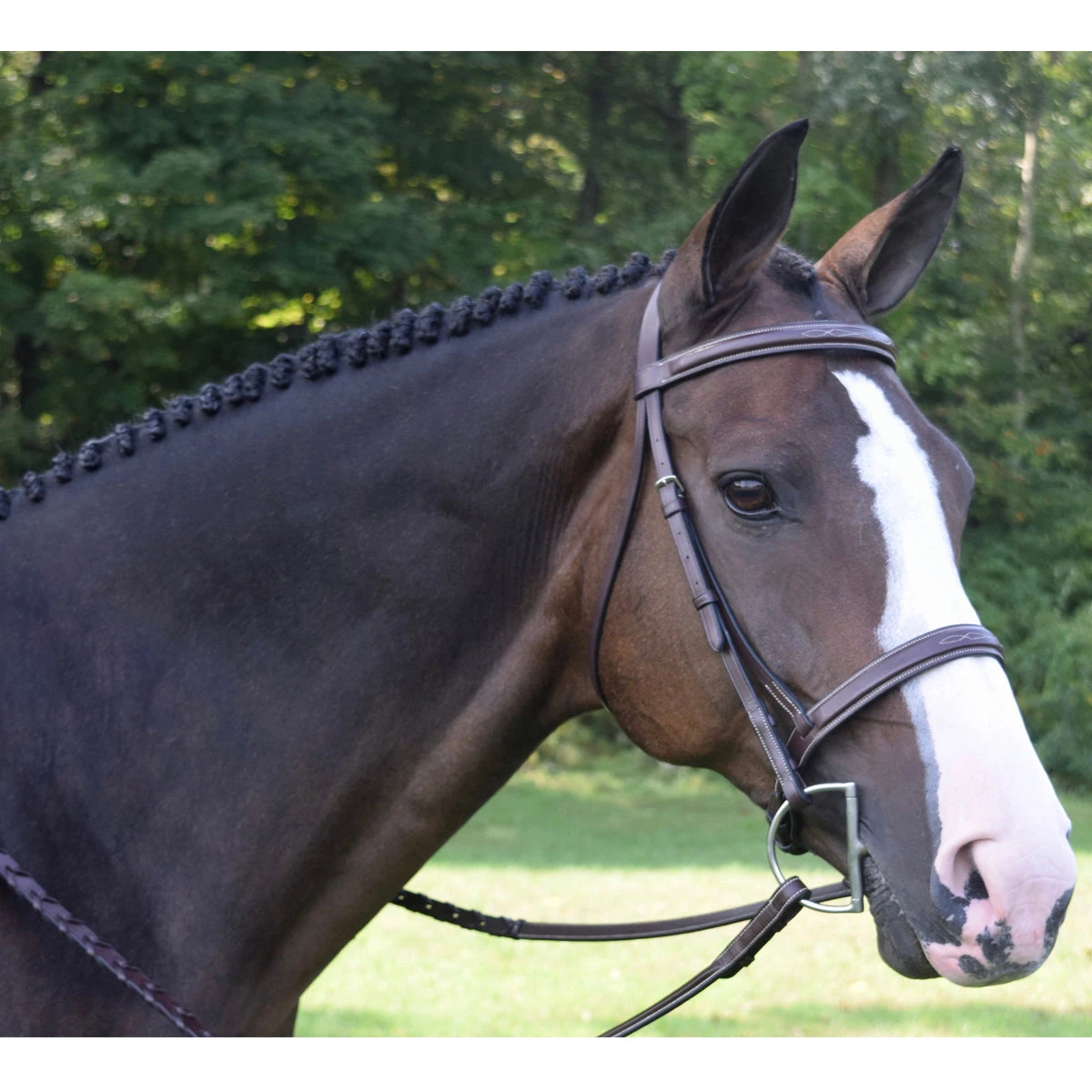 Black Oak By KL Select Spruce Hunter Bridle 3 Black Oak By KL Select Spruce Hunter Bridle