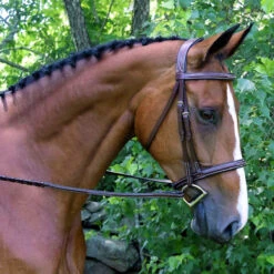 Red Barn By KL Select Synergy Hunter Bridle