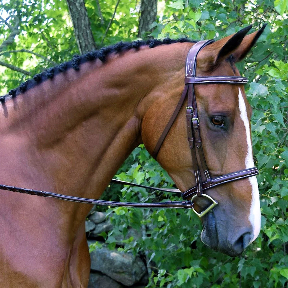 Red Barn By KL Select Synergy Hunter Bridle 3 Red Barn By KL Select Synergy Hunter Bridle