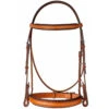 Edgewood 1" Fancy Raised Padded Bridle With Padded Crown 1 Edgewood 1" Fancy Raised Padded Bridle With Padded Crown -Weatherbeeta Shop bridle 28693.1590761944.1280.1280
