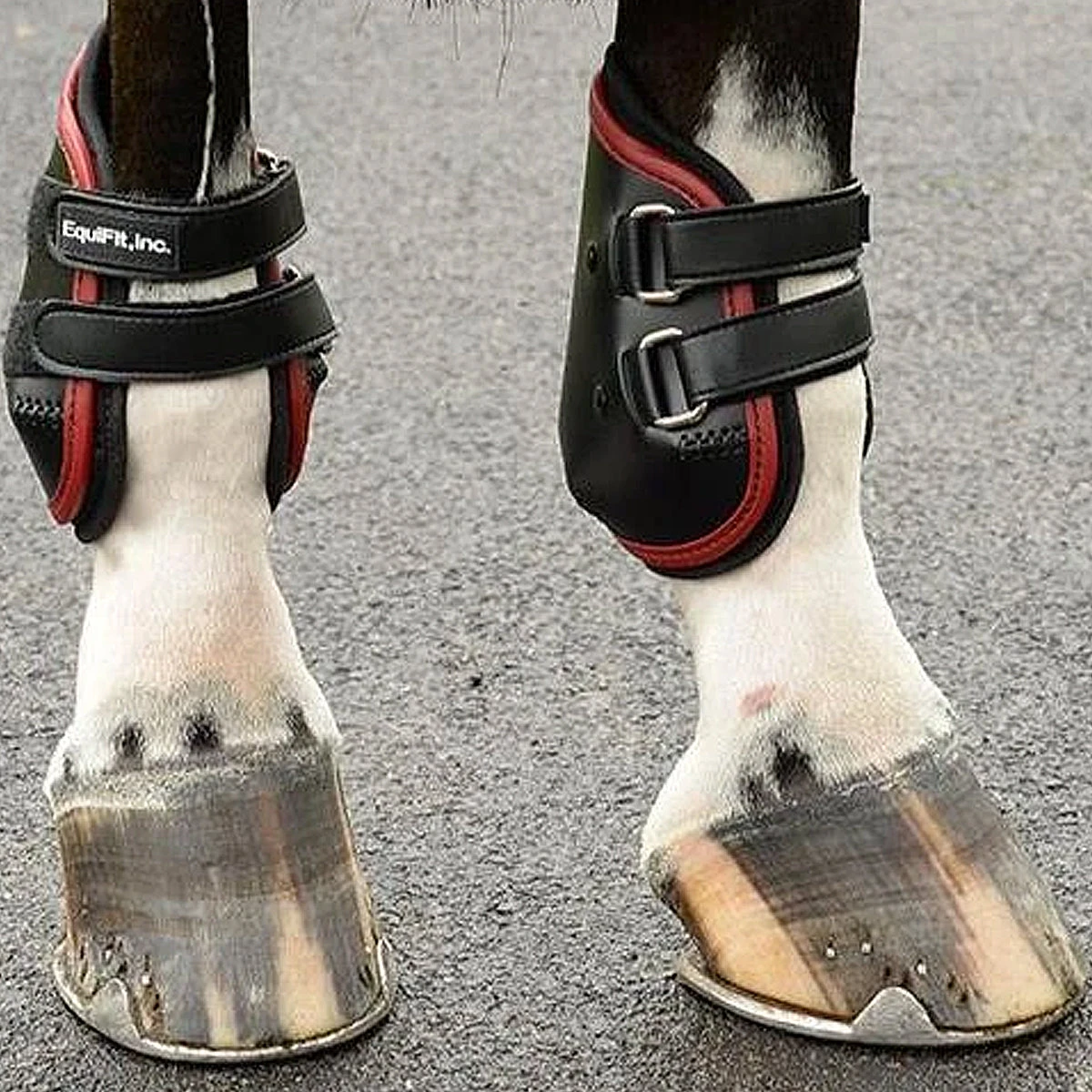 EquiFit AmpTeq Hind Boot 13 EquiFit AmpTeq Hind Boot - Image 11