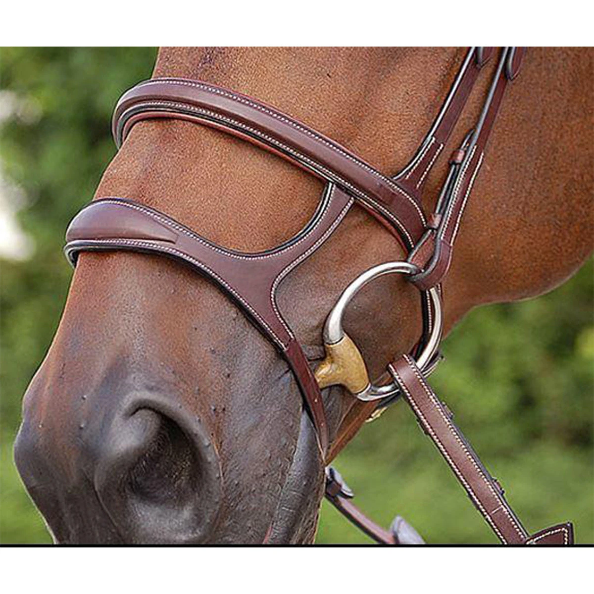 Dyon Double Noseband - D Collection 3 Dyon Double Noseband - D Collection