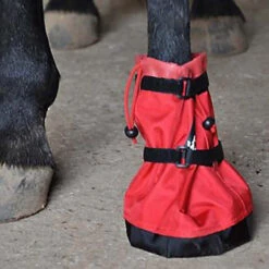 Hoof Wraps Soaker 7 Hoof Wraps Soaker -Weatherbeeta Shop hoof wrap soaker 38233.1590432762.1280.1280