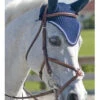 Rodrigo Pessoa Jumper Figure 8 Bridle With Rubber Covered Reins