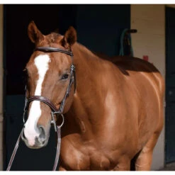 Huntley Equestrian Sedgwick Leather Fancy Stitched Bridle 29 Huntley Equestrian Sedgwick Leather Fancy Stitched Bridle -Weatherbeeta Shop huntley eq sedgwick aust nut5 95416.1588357252.1280.1280