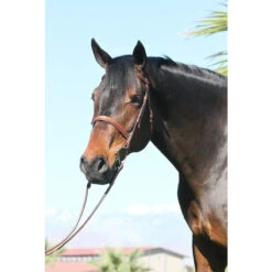 Huntley Equestrian Sedgwick Leather Fancy Stitched Bridle 30 Huntley Equestrian Sedgwick Leather Fancy Stitched Bridle -Weatherbeeta Shop huntley eq sedgwick conker 02308.1589920650.1280.1280