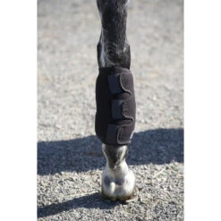 Ice Horse Tendon Wrap -Weatherbeeta Shop ice horse tendon wrap5 36438.1588363182.1280.1280