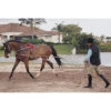 Pessoa Lunging System