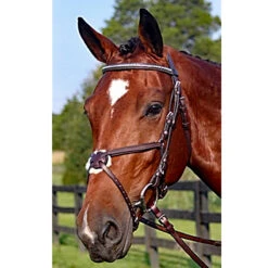 Nunn Finer Figure Eight Bridle 13 Nunn Finer Figure Eight Bridle -Weatherbeeta Shop new 31853545 40ae 422b a823 f67607d5803d