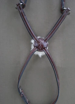 Red Barn By KL Select Equinox Figure 8 Bridle -Weatherbeeta Shop noseband equinoxlarge 05965.1564083774.1280.1280