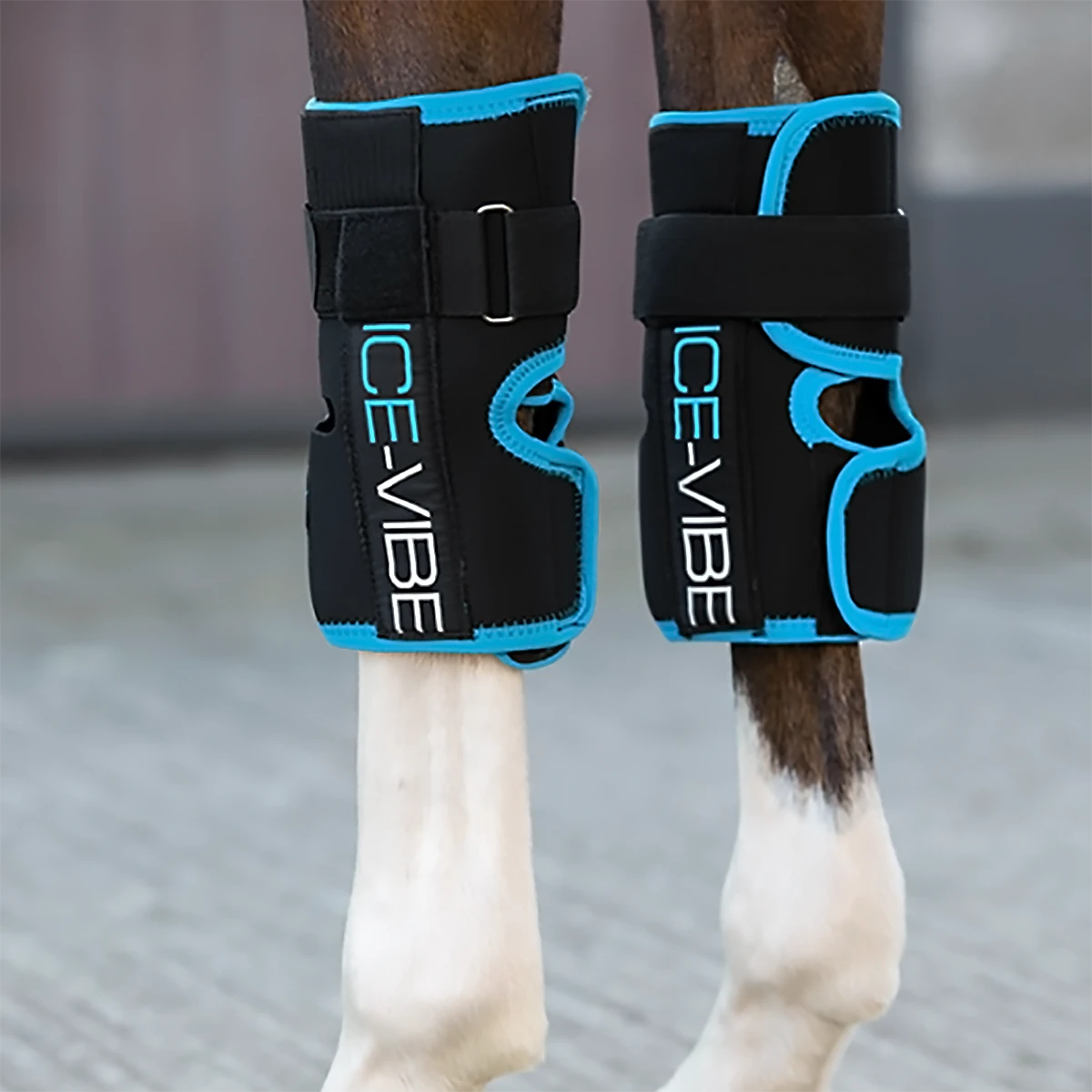 Ice-Vibe Knee Wrap By Horseware 3 Ice-Vibe Knee Wrap By Horseware
